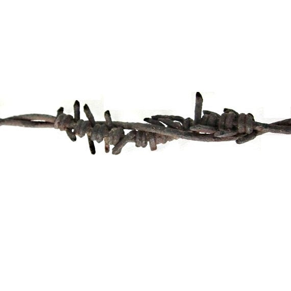 Barbed Wire Heart