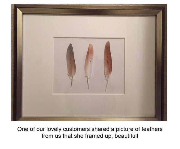 Personalized Feather with Your Words